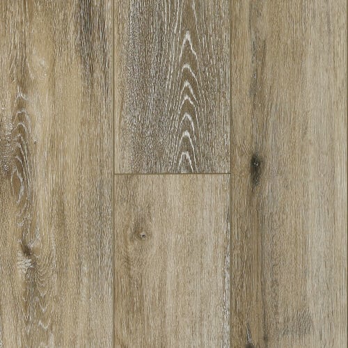 Ravine in Lamar Valley