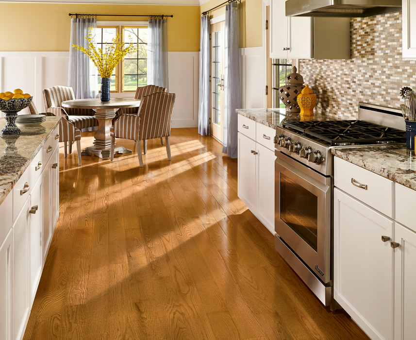 Welcoming Highlands in Butterscotch