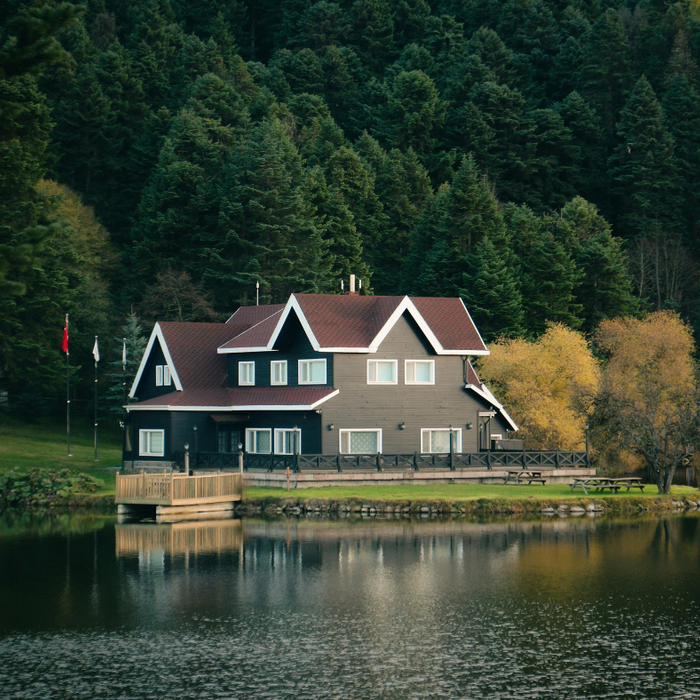 The Best Lakehouse Flooring Options of 2026