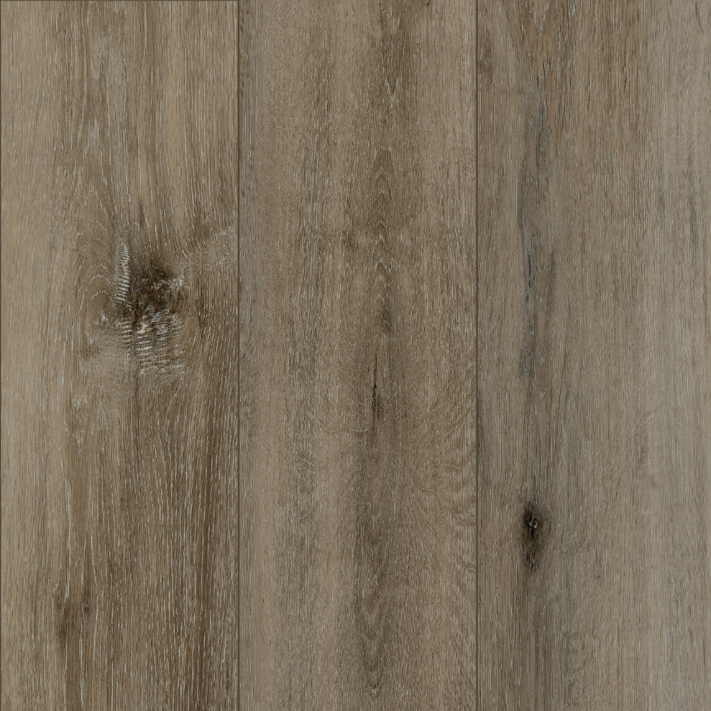 Cross Country in Belvedere