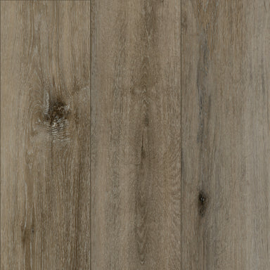 Cross Country in Belvedere