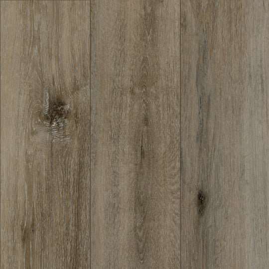 Cross Country in Belvedere