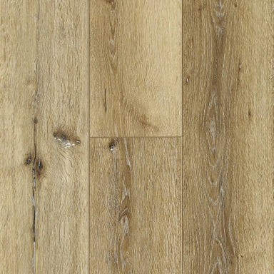 Ravine in Black Canyon