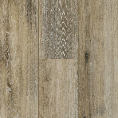 Ravine in Lamar Valley