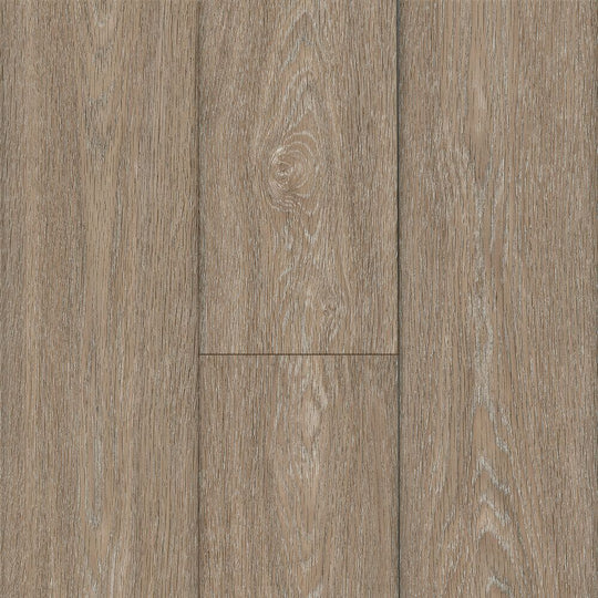 Cross Country in Soulsby